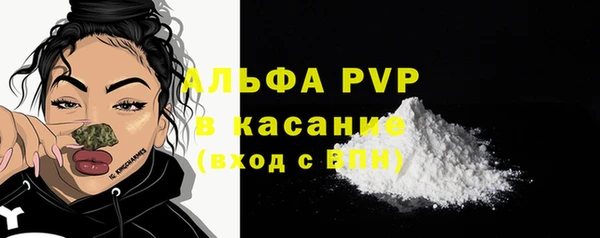 стафф Новодвинск