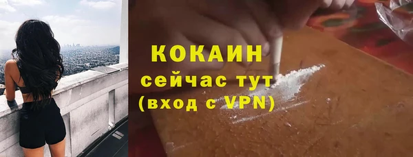 прущие крисы Новозыбков