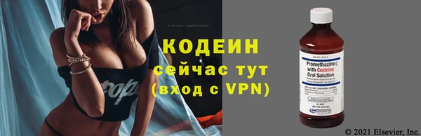 молекула духа Нязепетровск
