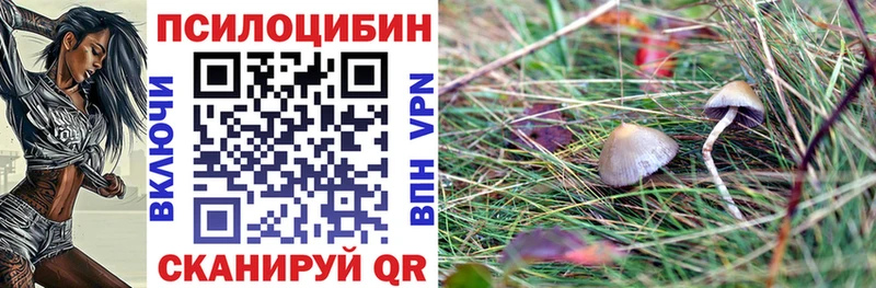 что такое   Котельники  Галлюциногенные грибы Cubensis 