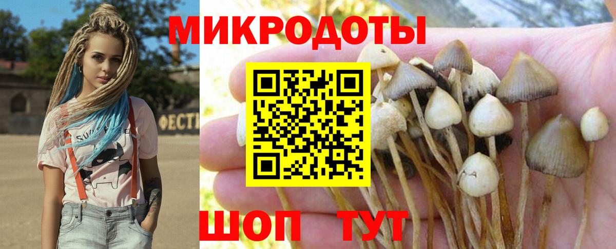 Котельники  Галлюциногенные грибы прущие грибы  Галлюциногенные грибы GOLDEN TEACHER  Вход с VPN 